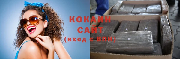 сатива Осинники