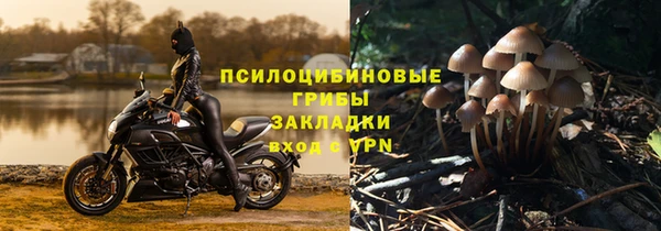 COCAINE Богданович