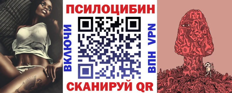 Псилоцибиновые грибы Psilocybine cubensis  Вихоревка 